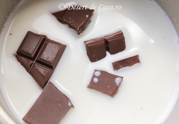 sos de ciocolata reteta (3)
